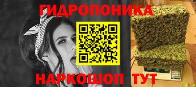молекула духа Будённовск