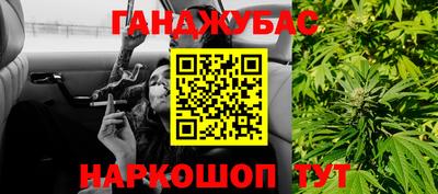 молекула духа Будённовск
