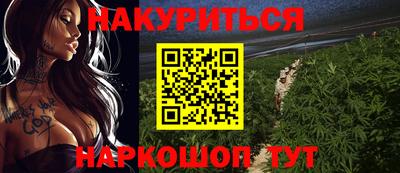 молекула духа Будённовск
