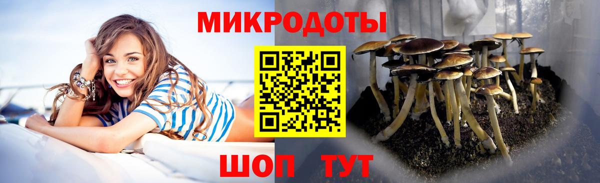 купить наркоту  Вход с VPN  Галлюциногенные грибы мицелий  Улан-Удэ  Галлюциногенные грибы Magic Shrooms 